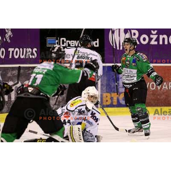  Ken Ograjensek of Telemach Olimpija in action during ice-hockey match Telemach Olimpija- Dornbirn in Ebel league 2013/2014, played in Hala Tivoli, Ljulbjana, Slovenia on October 26,2013 