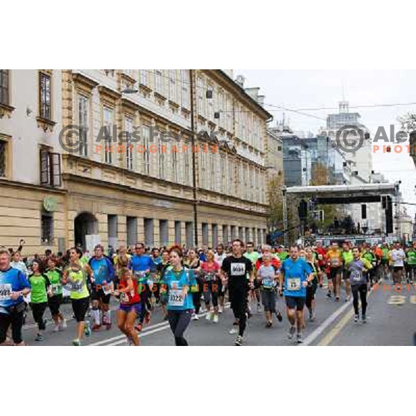 Runners during 18th Ljubljana Marathon 2013 in Ljubljana, Slovenia on October 27th, 2013 