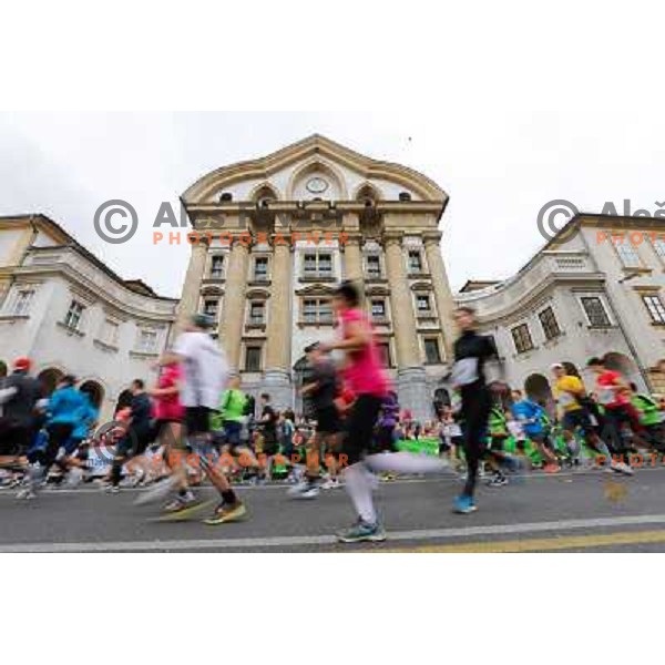 Runners during 18th Ljubljana Marathon 2013 in Ljubljana, Slovenia on October 27th, 2013 