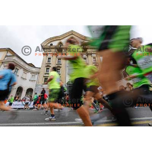 Runners during 18th Ljubljana Marathon 2013 in Ljubljana, Slovenia on October 27th, 2013 