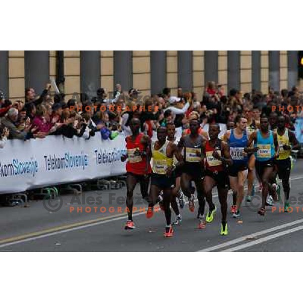 Runners during 18th Ljubljana Marathon 2013 in Ljubljana, Slovenia on October 27th, 2013 