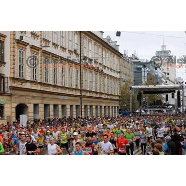 Runners during 18th Ljubljana Marathon 2013 in Ljubljana, Slovenia on October 27th, 2013 