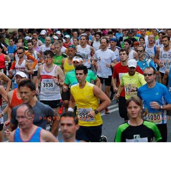 Runners during 18th Ljubljana Marathon 2013 in Ljubljana, Slovenia on October 27th, 2013 