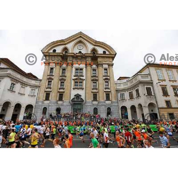 Runners during 18th Ljubljana Marathon 2013 in Ljubljana, Slovenia on October 27th, 2013 