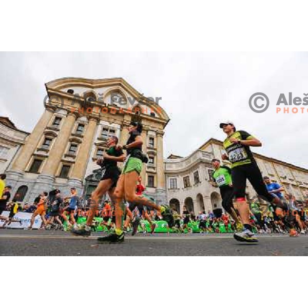 Runners during 18th Ljubljana Marathon 2013 in Ljubljana, Slovenia on October 27th, 2013 