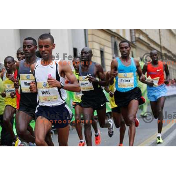 Robi Deribe during 18th Ljubljana Marathon 2013 in Ljubljana, Slovenia on October 27th, 2013 