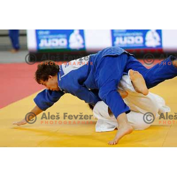 Adrian Gomboc of Slovenia and Yuuki Hashiguchi of Japan in action during Judo World Championships Juniors in Arena Stozice, Ljubljana, Slovenia on October 27, 2013 