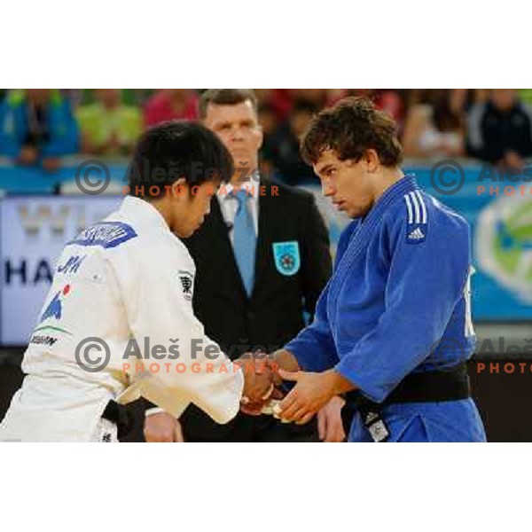 Adrian Gomboc of Slovenia and Yuuki Hashiguchi of Japan in action during Judo World Championships Juniors in Arena Stozice, Ljubljana, Slovenia on October 27, 2013 