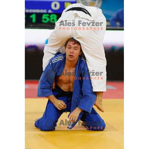 Adrian Gomboc of Slovenia and Yuuki Hashiguchi of Japan in action during Judo World Championships Juniors in Arena Stozice, Ljubljana, Slovenia on October 27, 2013 