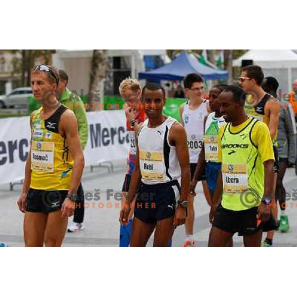 Runners during 18th Ljubljana Marathon 2013 in Ljubljana, Slovenia on October 27th, 2013 
