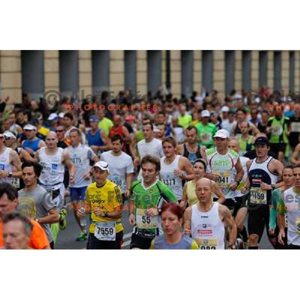 Runners during 18th Ljubljana Marathon 2013 in Ljubljana, Slovenia on October 27th, 2013 