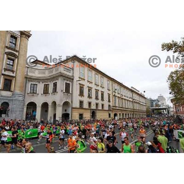 Runners during 18th Ljubljana Marathon 2013 in Ljubljana, Slovenia on October 27th, 2013 