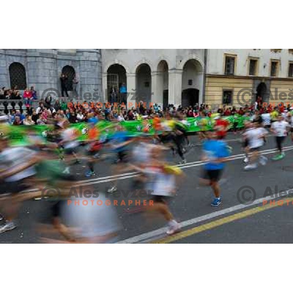 Runners during 18th Ljubljana Marathon 2013 in Ljubljana, Slovenia on October 27th, 2013 
