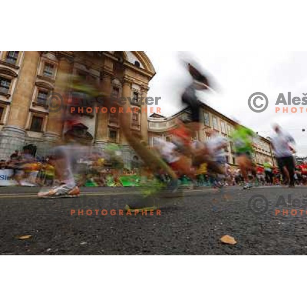 Runners during 18th Ljubljana Marathon 2013 in Ljubljana, Slovenia on October 27th, 2013 