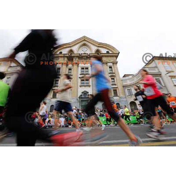 Runners during 18th Ljubljana Marathon 2013 in Ljubljana, Slovenia on October 27th, 2013 