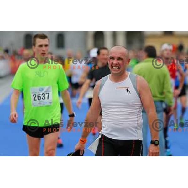 Runners during 18th Ljubljana Marathon 2013 in Ljubljana, Slovenia on October 27th, 2013 