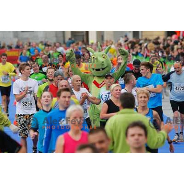 Runners during 18th Ljubljana Marathon 2013 in Ljubljana, Slovenia on October 27th, 2013 
