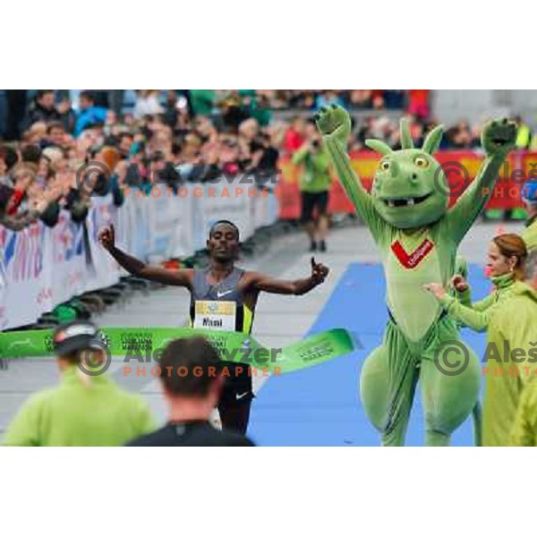 Mulugeta Wami during 18th Ljubljana Marathon 2013 in Ljubljana, Slovenia on October 27th, 2013 