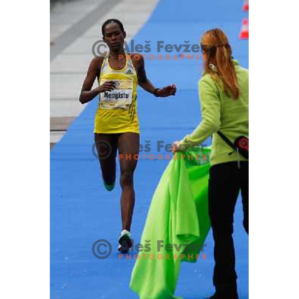Asnakech Mengistu during 18th Ljubljana Marathon 2013 in Ljubljana, Slovenia on October 27th, 2013 