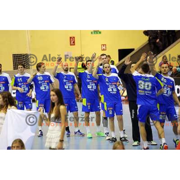  Team of Slovenia in action during handball match Slovenia-Switzerland in qualification for Qatar World Championships, played in Red Hall, Velenje, Slovenia on October 30 ,2013 