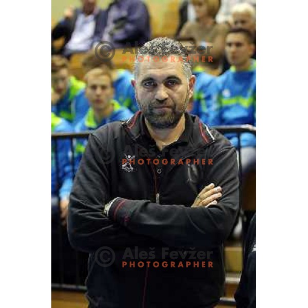 Boris Denic, head coach of Slovenia in action during handball match Slovenia-Switzerland in qualification for Qatar World Championships, played in Red Hall, Velenje, Slovenia on October 30 ,2013 
