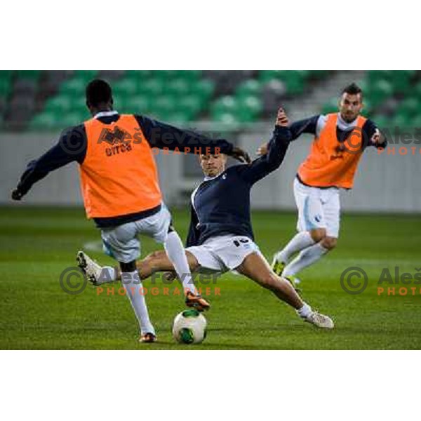 Gianluca Lapadula in action during football match Olimpija - Gorica, Round 16 of Prvaliga Telekom 2013-14 , Stozice , Ljubljana, 02.11.2013 