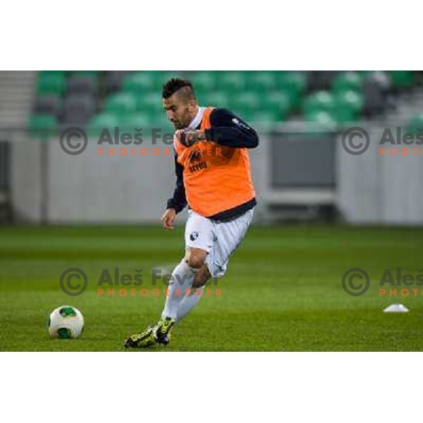Massimo Coda in action during football match Olimpija - Gorica, Round 16 of Prvaliga Telekom 2013-14 , Stozice , Ljubljana, 02.11.2013 