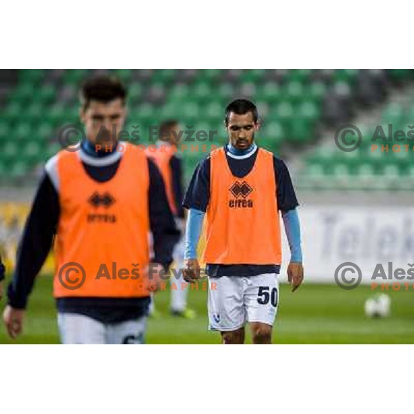 Bruno Leonardo Vicente in action during football match Olimpija - Gorica, Round 16 of Prvaliga Telekom 2013-14 , Stozice , Ljubljana, 02.11.2013 