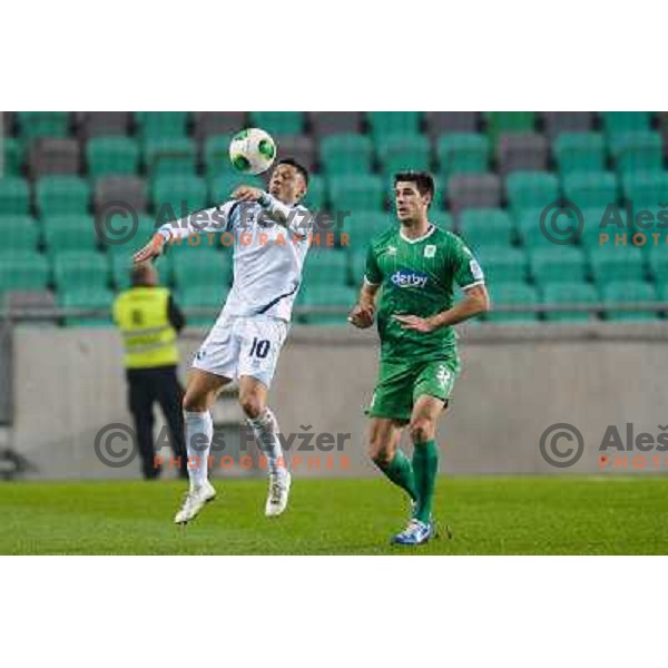 Gianluca Lapadula, Nemanja Mitrovic in action during football match Olimpija - Gorica, Round 16 of Prvaliga Telekom 2013-14 , Stozice , Ljubljana, 02.11.2013 
