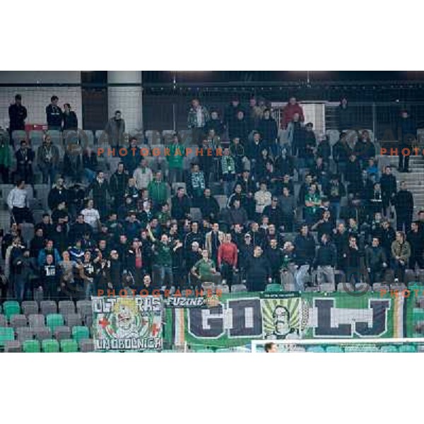 Green Dragons in action during football match Olimpija - Gorica, Round 16 of Prvaliga Telekom 2013-14 , Stozice , Ljubljana, 02.11.2013 