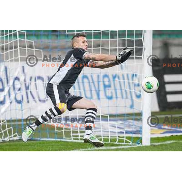 Alex Cordaz in action during football match Olimpija - Gorica, Round 16 of Prvaliga Telekom 2013-14 , Stozice , Ljubljana, 02.11.2013 