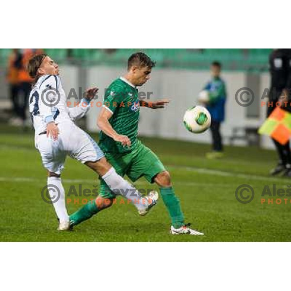 Daniele Bazzoffia, Tadej Apatic in action during football match Olimpija - Gorica, Round 16 of Prvaliga Telekom 2013-14 , Stozice , Ljubljana, 02.11.2013 