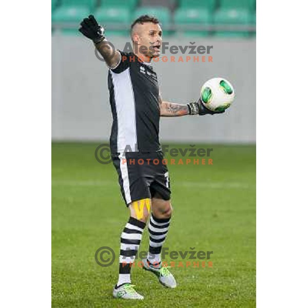 Alex Cordaz in action during football match Olimpija - Gorica, Round 16 of Prvaliga Telekom 2013-14 , Stozice , Ljubljana, 02.11.2013 