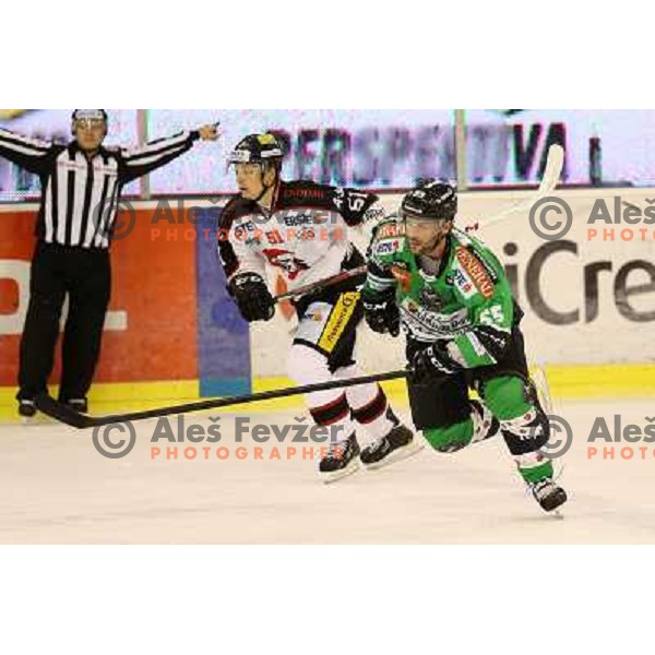 Pascal Morency of Telemach Olimpija in action during ice-hockey match Telemach Olimpija- Orli Znojmo in round 21 of Ebel league 2013/2014, played in Hala Tivoli, Ljubljana, Slovenia on November 3,2013 