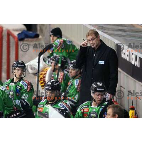 Ivo Jan, head coach of Telemach Olimpija in action during ice-hockey match Telemach Olimpija- Dornbirn in Ebel league 2013/2014, played in Hala Tivoli, Ljulbjana, Slovenia on October 26,2013 