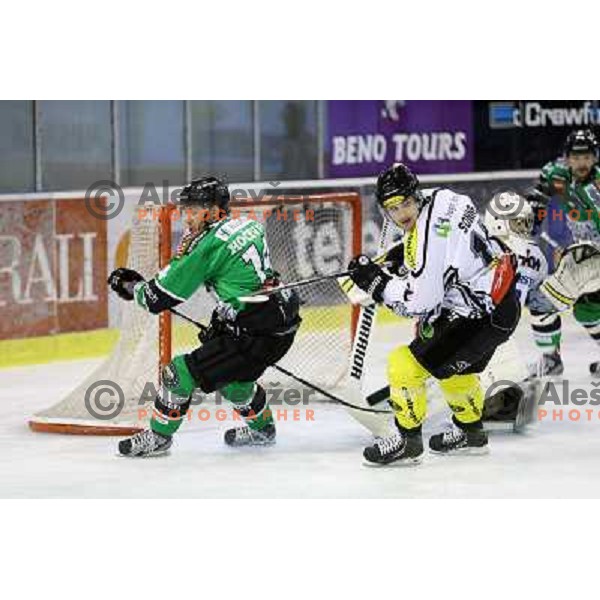 Matej Hocevar of Telemach Olimpija in action during ice-hockey match Telemach Olimpija- Dornbirn in Ebel league 2013/2014, played in Hala Tivoli, Ljulbjana, Slovenia on October 26,2013 
