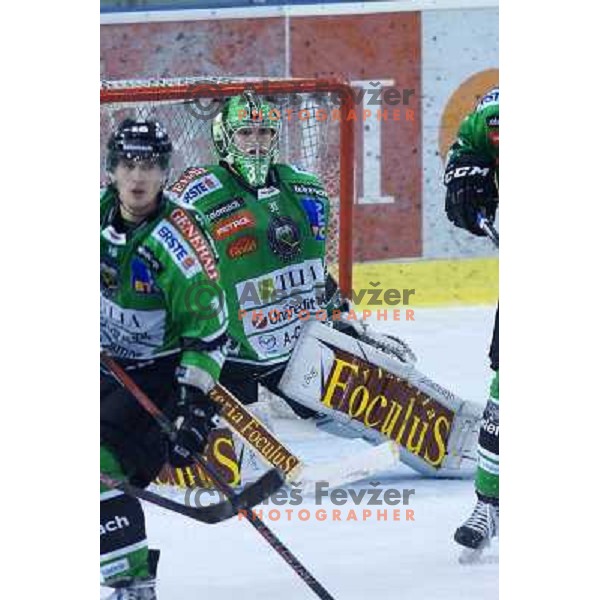 Jerry Kuhn of Telemach Olimpija in action during ice-hockey match Telemach Olimpija- Vienna Capitals in round 10 of Ebel league 2013/2014, played in Hala Tivoli, Ljulbjana, Slovenia on October 8,2013 