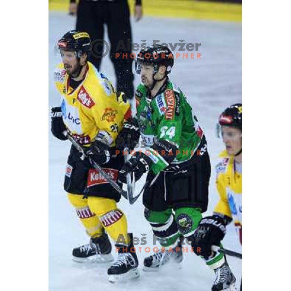 Andrej Hebar of Telemach Olimpija in action during ice-hockey match Telemach Olimpija- Vienna Capitals in round 10 of Ebel league 2013/2014, played in Hala Tivoli, Ljulbjana, Slovenia on October 8,2013 