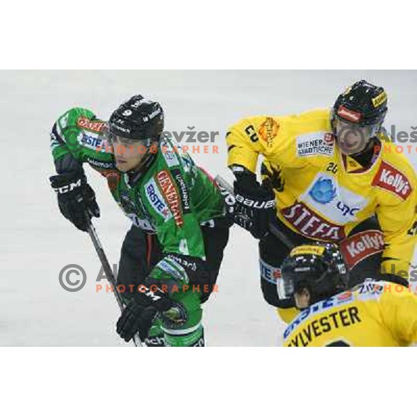 Judd Blackwater of Telemach Olimpija in action during ice-hockey match Telemach Olimpija- Vienna Capitals in round 10 of Ebel league 2013/2014, played in Hala Tivoli, Ljulbjana, Slovenia on October 8,2013 
