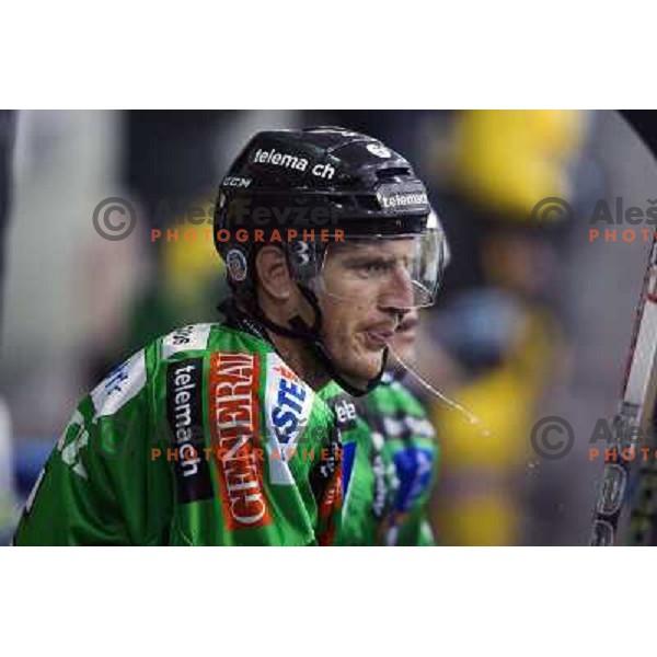 Bostjan Groznik of Telemach Olimpija in action during ice-hockey match Telemach Olimpija- Vienna Capitals in round 10 of Ebel league 2013/2014, played in Hala Tivoli, Ljulbjana, Slovenia on October 8,2013 
