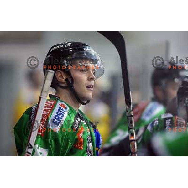 Matevz Erman of Telemach Olimpija in action during ice-hockey match Telemach Olimpija- Vienna Capitals in round 10 of Ebel league 2013/2014, played in Hala Tivoli, Ljulbjana, Slovenia on October 8,2013 