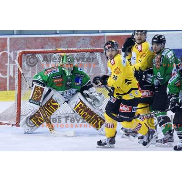 Jerry Kuhn of Telemach Olimpija in action during ice-hockey match Telemach Olimpija- Vienna Capitals in round 10 of Ebel league 2013/2014, played in Hala Tivoli, Ljulbjana, Slovenia on October 8,2013 