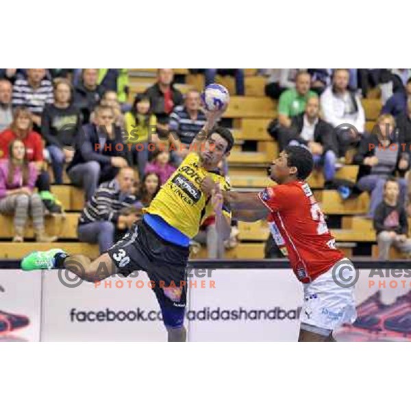 Luka Dobelsek of Gorenje Velenje in action during handball match Gorenje Velenje- Aalborg in EHF Champions league, played in Red Hall, Velenje, Slovenia on October 16, 2013 