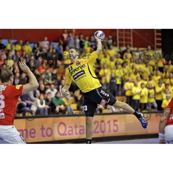 Rok Golcar of Gorenje Velenje in action during handball match Gorenje Velenje- Aalborg in EHF Champions league, played in Red Hall, Velenje, Slovenia on October 16, 2013 