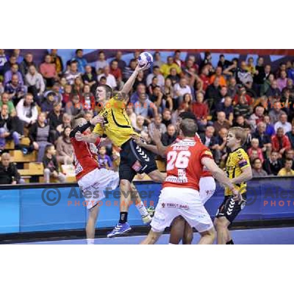 Rok Golcar of Gorenje Velenje in action during handball match Gorenje Velenje- Aalborg in EHF Champions league, played in Red Hall, Velenje, Slovenia on October 16, 2013 