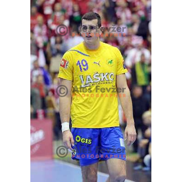 Sliskovic of Celje Pivovarna Lasko in action during handball match Celje PL. -Vezsprem in EHF Champions League, played in Zlatorog Hall, Celje, Slovenia on November 17, 2013 