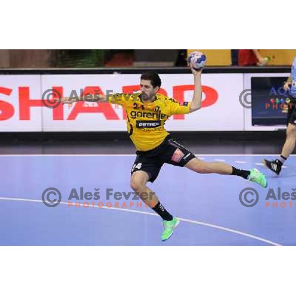 Mario Sostaric of Gorenje Velenje in action during EHF Champions league handball match between Gorenje Velenje ( SLO) and La Rioja (ESP) in Red hall, Velenje, Slovenia on november 23,2013 