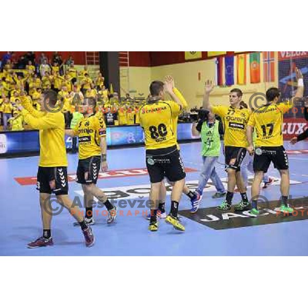 Niko Medved, Marko Dujmovic of Gorenje Velenje in action during EHF Champions league handball match between Gorenje Velenje ( SLO) and La Rioja (ESP) in Red hall, Velenje, Slovenia on november 23,2013 