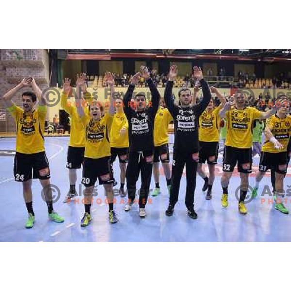 Mario Sostaric, Stas Skube, Emir Taletovic, Benjamin Buric, Marko Ostir of Gorenje Velenje in action during EHF Champions league handball match between Gorenje Velenje ( SLO) and La Rioja (ESP) in Red hall, Velenje, Slovenia on november 23,2013 