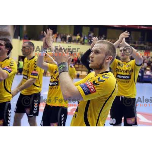 Niko Medved of Gorenje Velenje in action during EHF Champions league handball match between Gorenje Velenje ( SLO) and La Rioja (ESP) in Red hall, Velenje, Slovenia on november 23,2013 